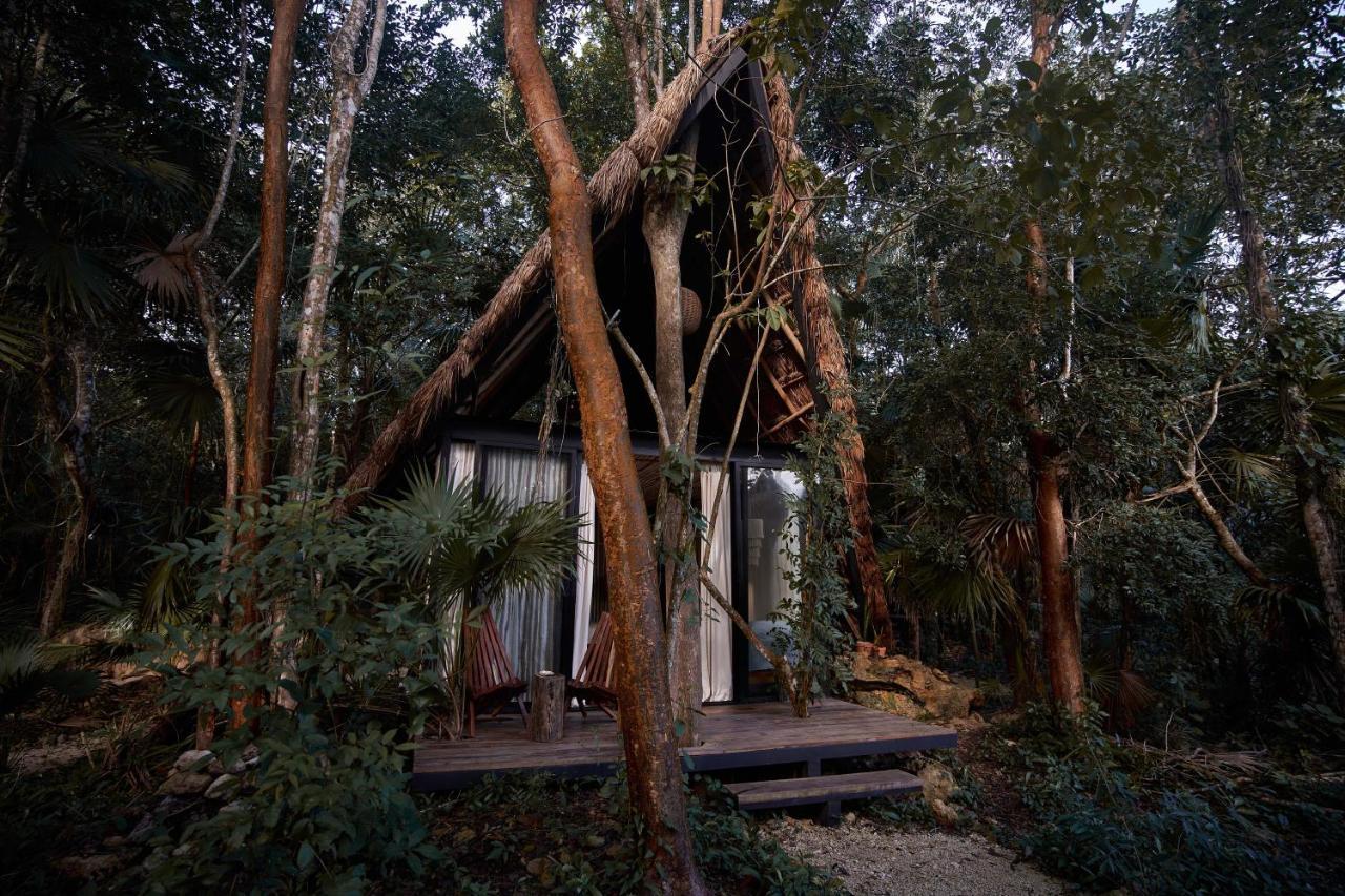 Kapok Bacalar - Plant Based Hotel Buenavista  外观 照片
